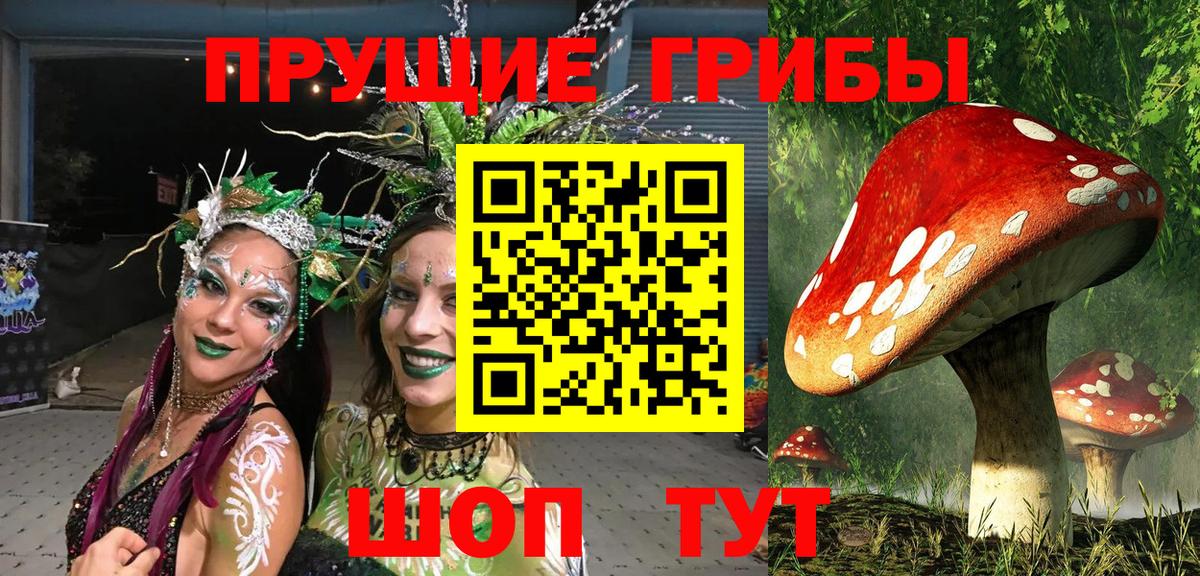 Галлюциногенные грибы мухоморы  Вход с VPN  Верхняя Салда  Псилоцибиновые грибы Cubensis 