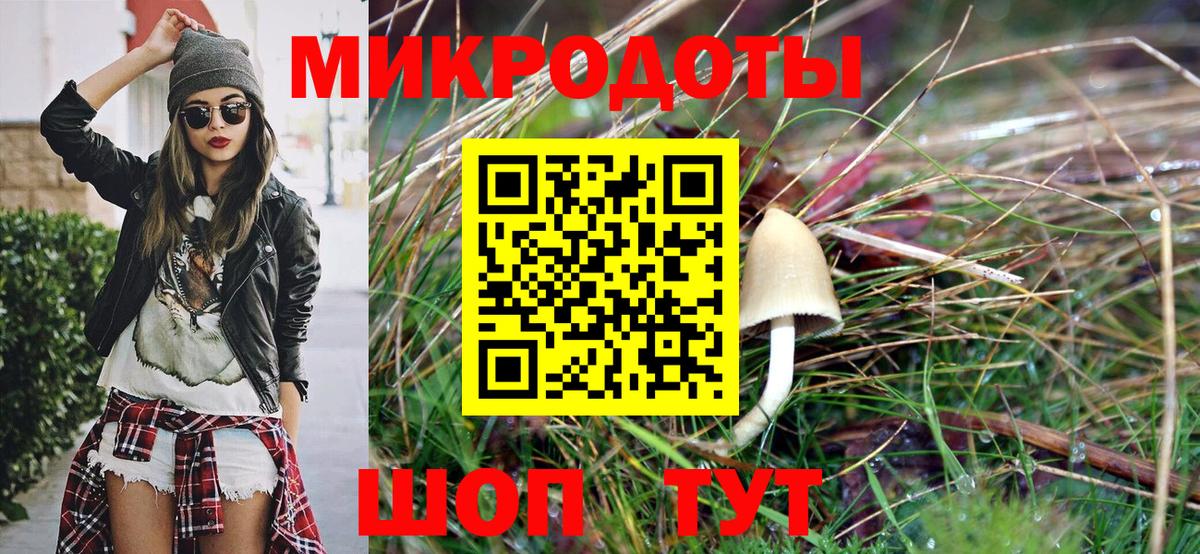 Галлюциногенные грибы мицелий Верхняя Салда